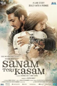 Sanam Teri Kasam 2016 Watch Online And Download Bluray Hindi Esub 480p 720p 1080p