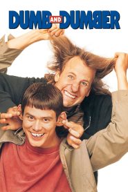 Dumb and Dumber 1994 Watch Online And Download Bluray Hindi Dubbed 720p