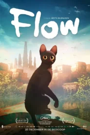 Flow 2024 Watch Online And Download WEB-DL English Esub 480p 720p 1080p
