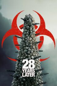 28 Years Later 2025 Watch Online And Download HDTS Hindi 480p 720p 1080p