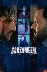 Sarzameen 2025 Watch Online And Download WEB-DL Hindi Esub 480p 720p 1080p
